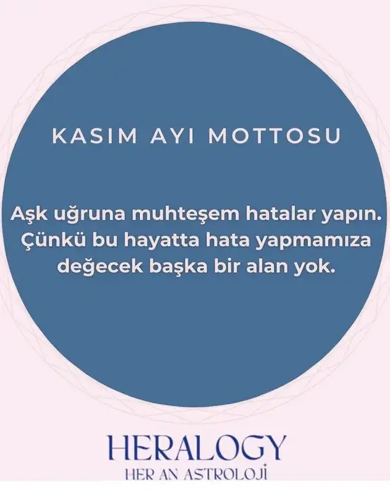 Screenshot_20241101-132026_Instagram.webp