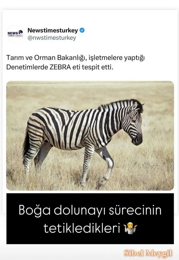 Screenshot_20241112-204012_Instagram.webp
