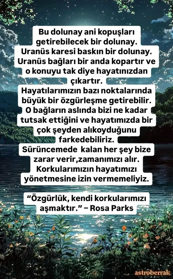 Screenshot_20241113-213656_Instagram.webp