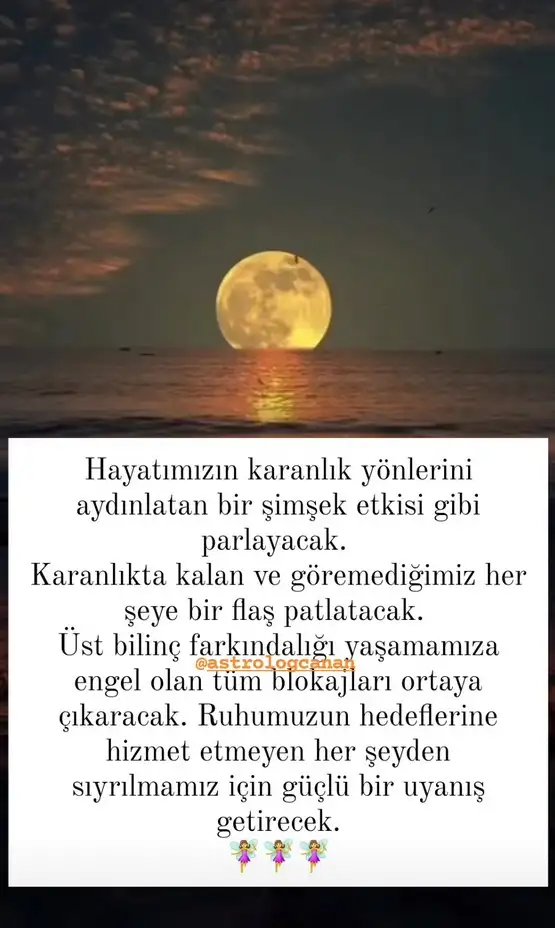 Screenshot_20241115-095608_Instagram.webp