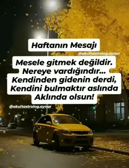 Screenshot_20241117-200830_Instagram.webp