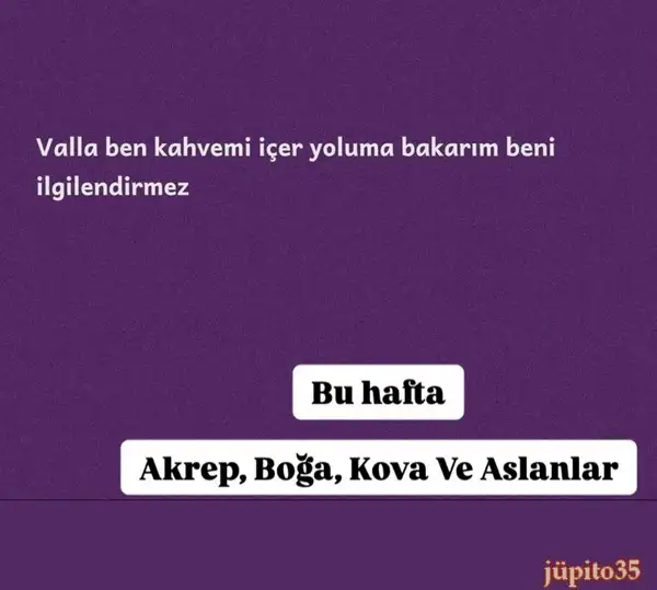 Screenshot_20241118-230840_Instagram.webp