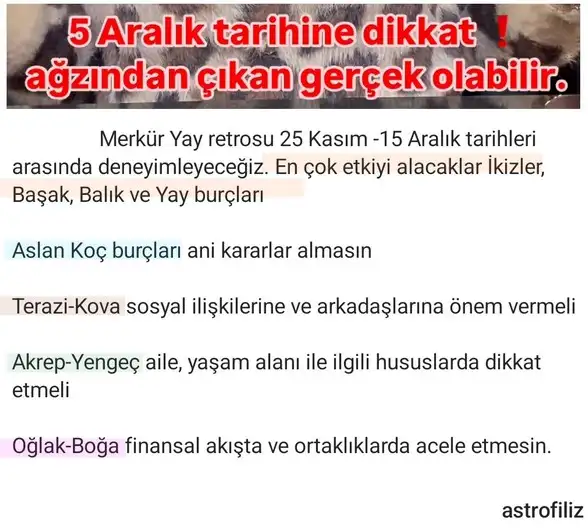 Screenshot_20241120-195205_Instagram.webp