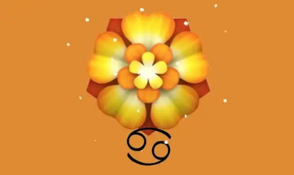 Screenshot_20241204-102631_Instagram.webp