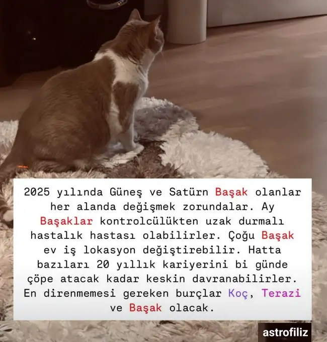 Screenshot_20250101-232700_Instagram.webp