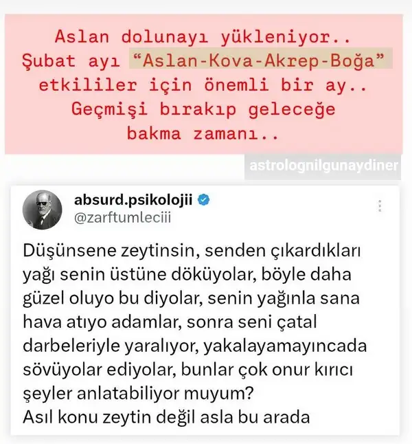Screenshot_20250203-222233_Instagram.webp