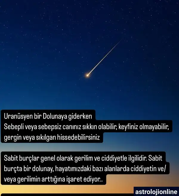 Screenshot_20250209-230434_Instagram.webp