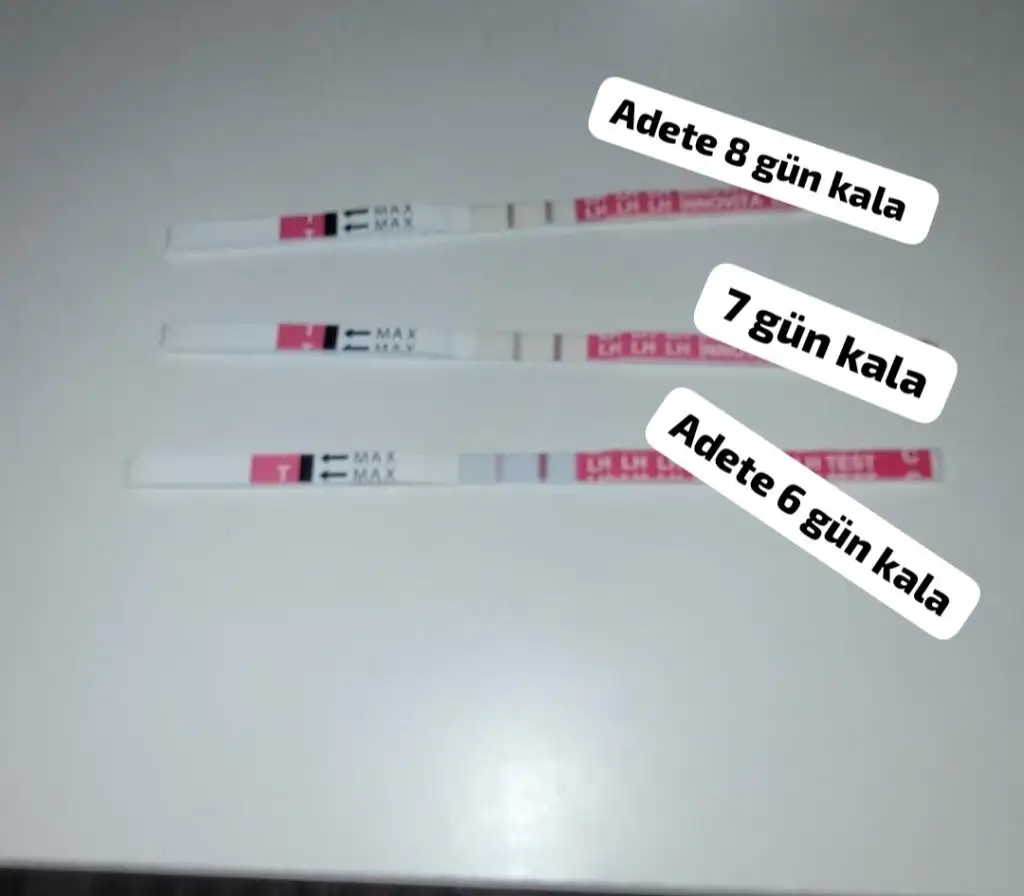 Screenshot_20250212_095210_WhatsApp.webp