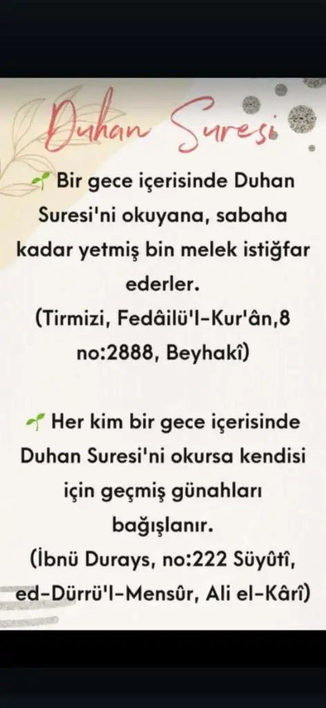 Screenshot_20250213_122820_WhatsApp.webp