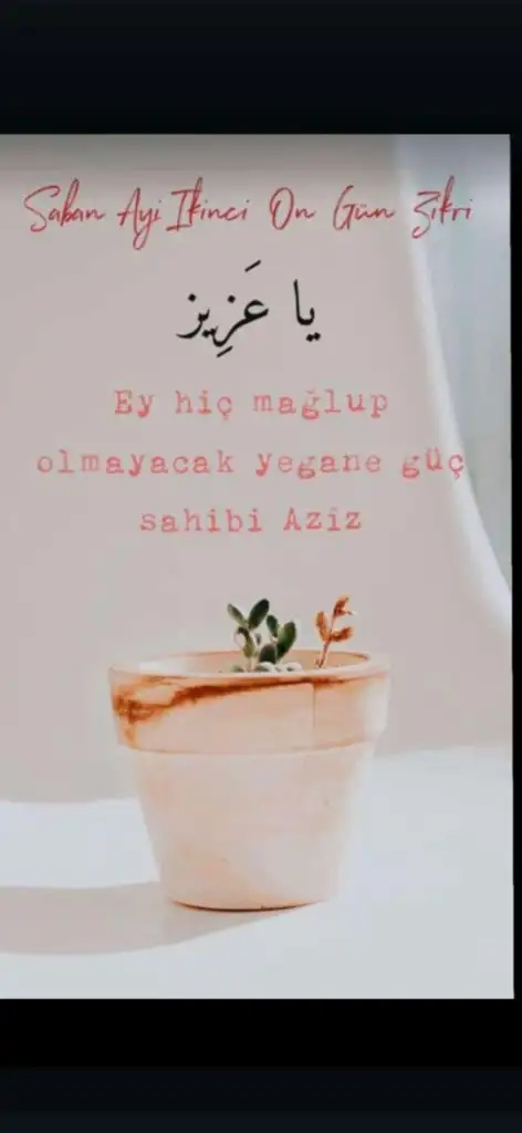 Screenshot_20250213_122912_WhatsApp.webp