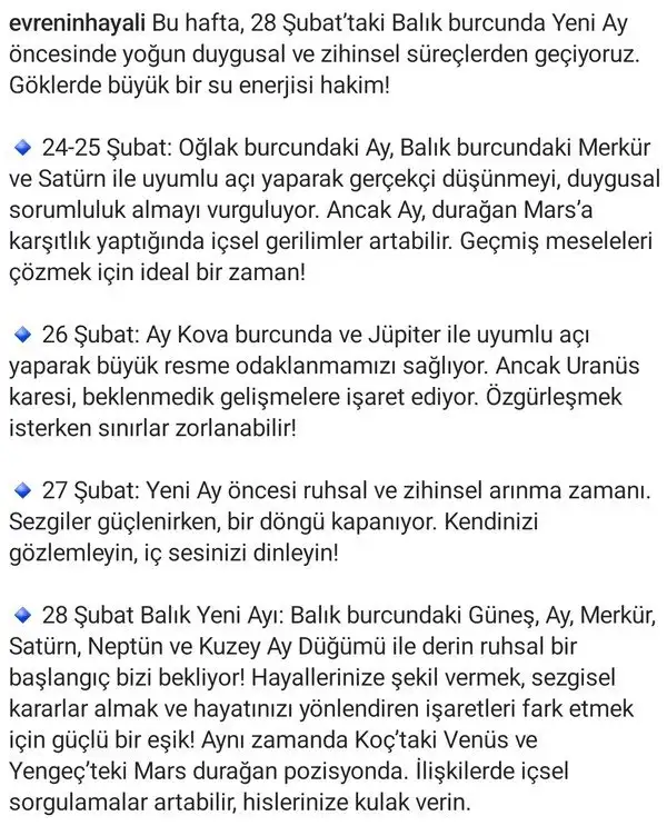 Screenshot_20250223-221949_Instagram.webp