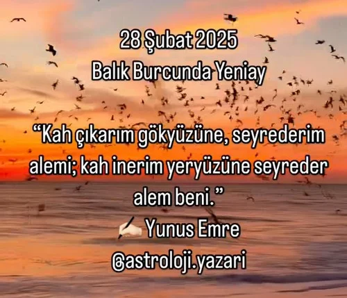 Screenshot_20250225-180328_Instagram.webp