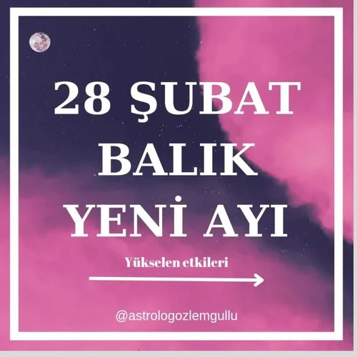 Screenshot_20250226-104043_Instagram.webp