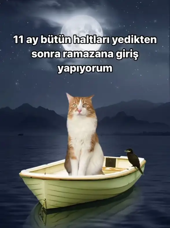 Screenshot_20250301-140229_Instagram.webp