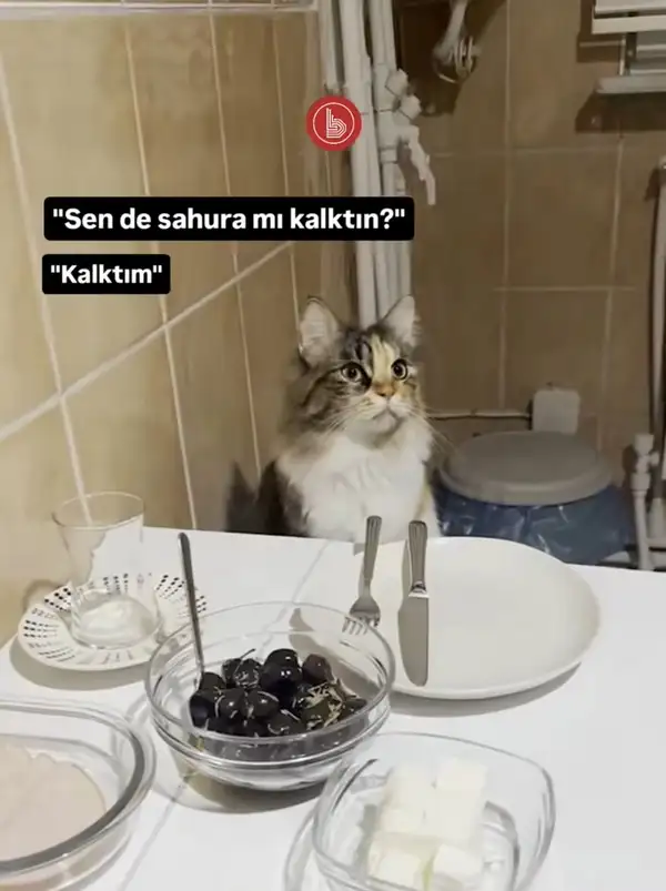 Screenshot_20250302-184736_Instagram.webp