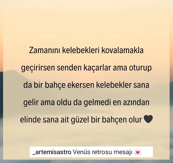 Screenshot_20250306-164257_Instagram.webp