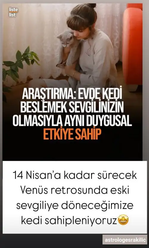 Screenshot_20250306-184953_Instagram.webp