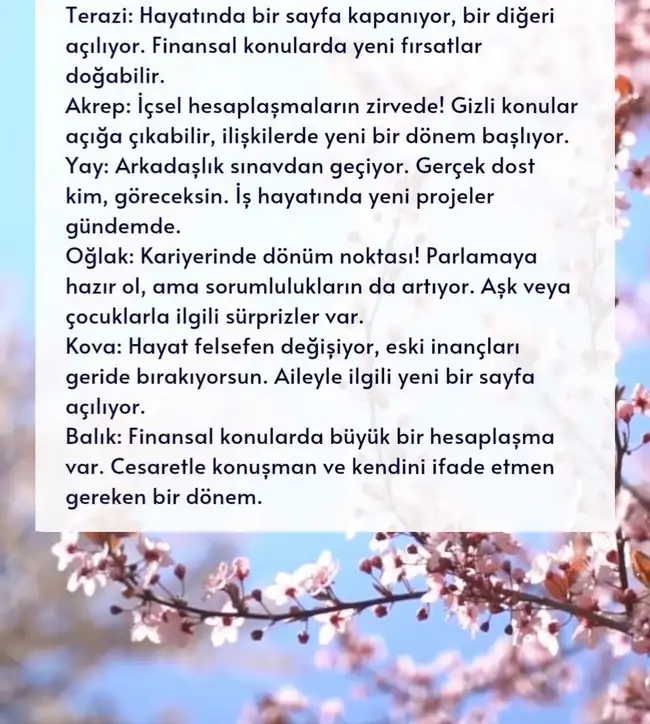 Screenshot_20250327-191121_Instagram.webp