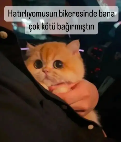Screenshot_20250330-204447_Instagram.webp