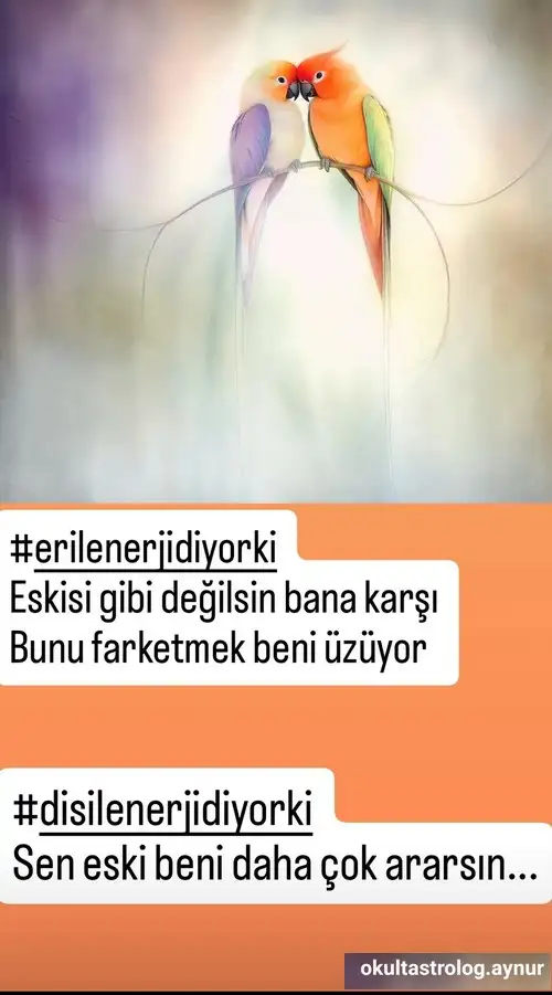 Screenshot_20250331-185227_Instagram.webp