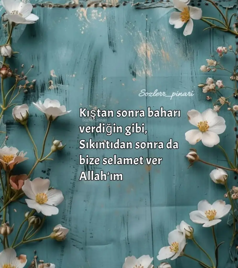 Screenshot_20250411-062112_Instagram.webp