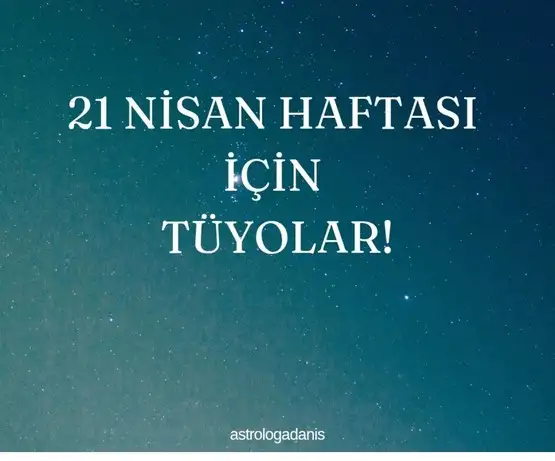 Screenshot_20250421-202623_Instagram.webp