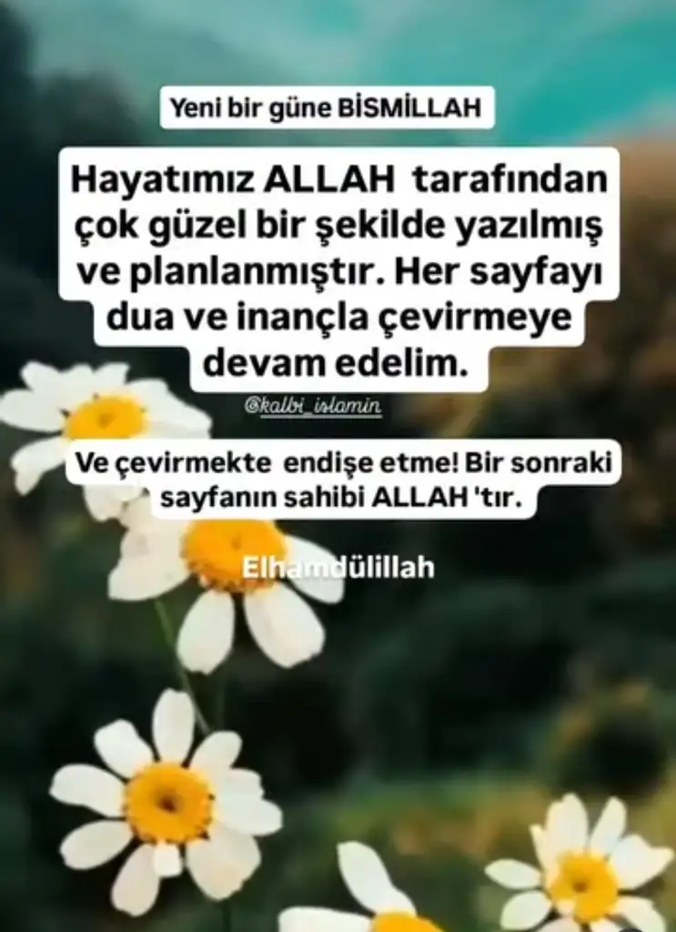 Screenshot_20250424-062707_Instagram.webp