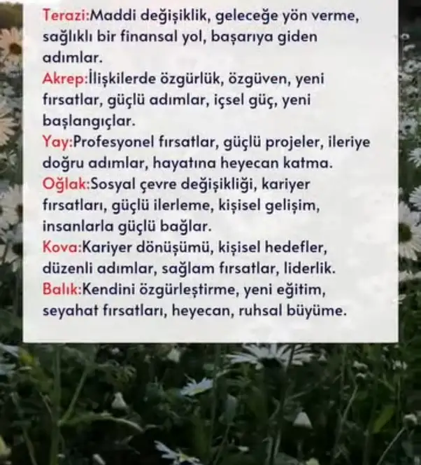 Screenshot_20250425-173132_Instagram.webp