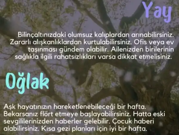 Screenshot_20250427-151038_Instagram.webp