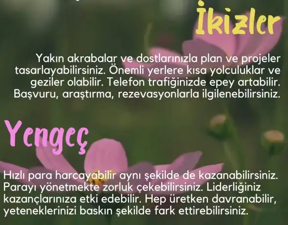 Screenshot_20250504-144134_Instagram.webp