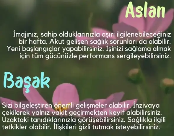 Screenshot_20250504-144138_Instagram.webp