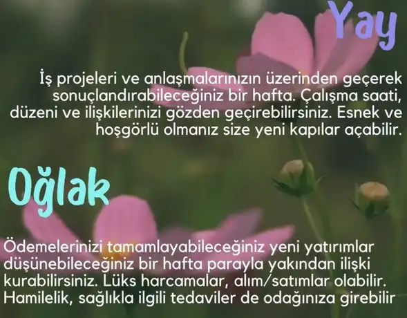 Screenshot_20250504-144145_Instagram.webp
