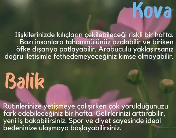 Screenshot_20250504-144153_Instagram.webp