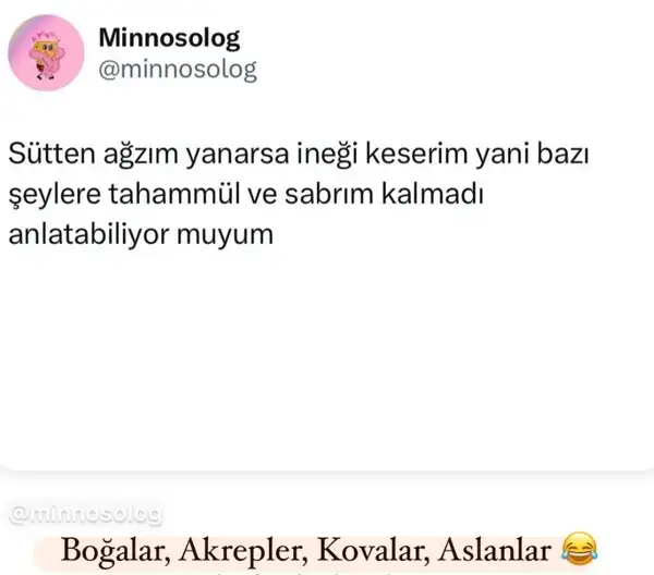 Screenshot_20250509-165600_Instagram.webp