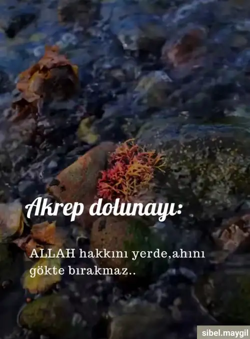 Screenshot_20250510-120827_Instagram.webp