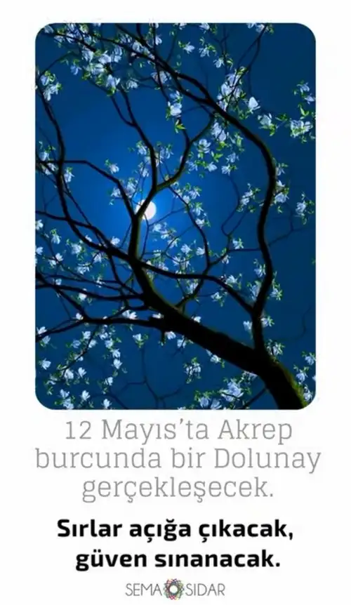 Screenshot_20250511-195941_Instagram.webp