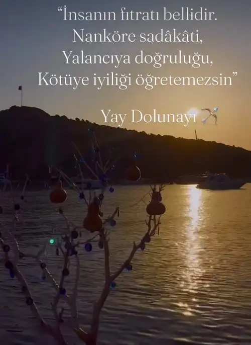 Screenshot_20250610-235248_Instagram.webp
