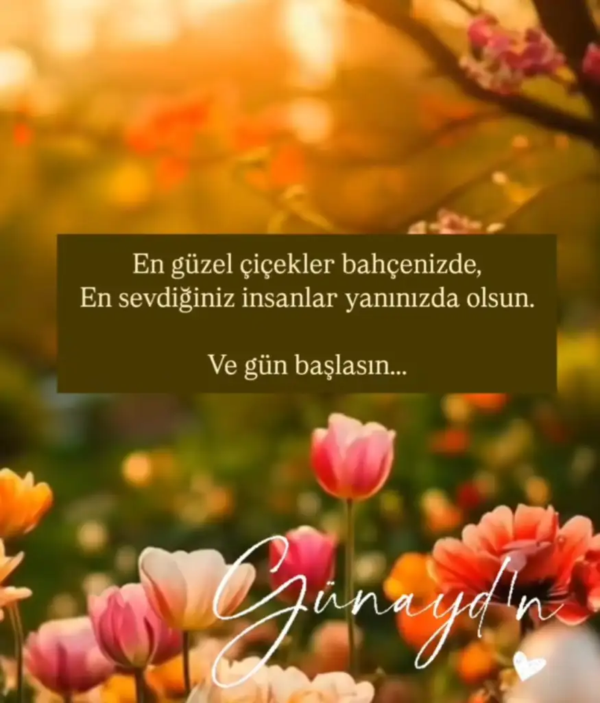 Screenshot_20250612-053303_Instagram.webp