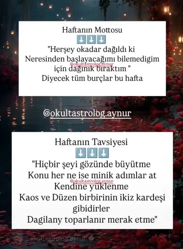Screenshot_20250616-165633_Instagram.webp
