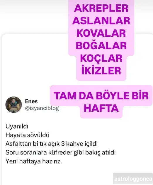 Screenshot_20250616-221417_Instagram.webp