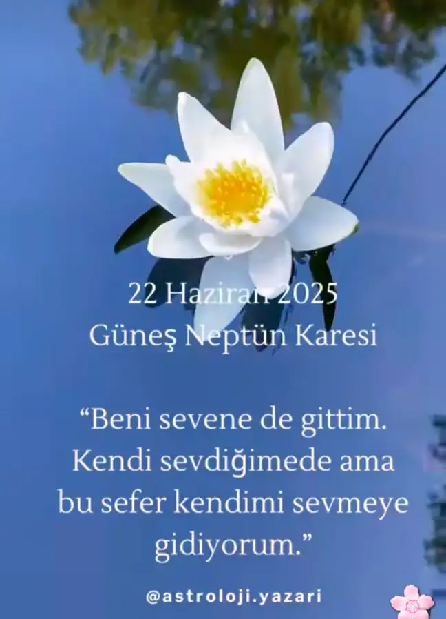 Screenshot_20250622-131638_Instagram.webp