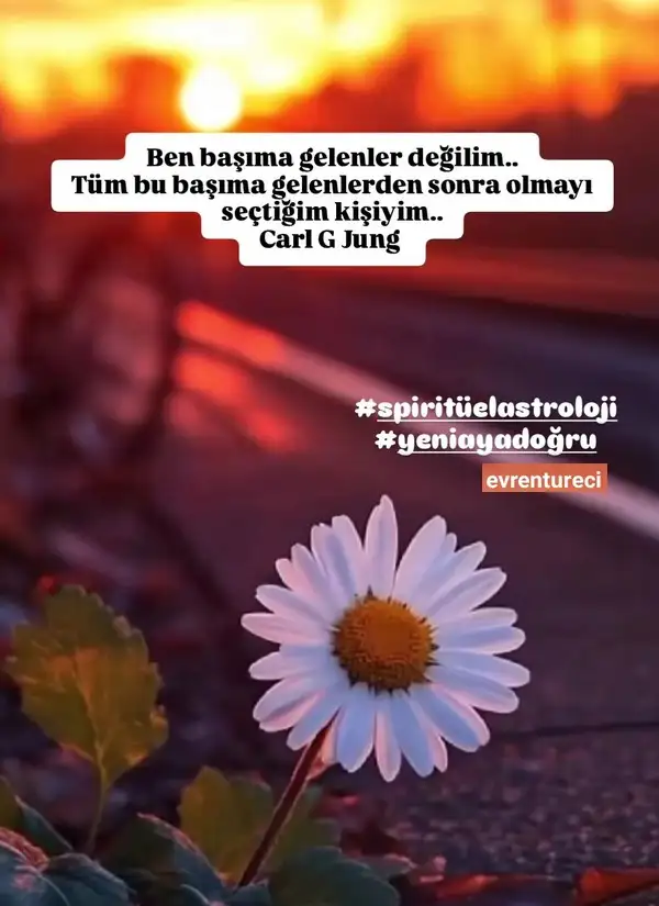 Screenshot_20250623-153507_Instagram.webp