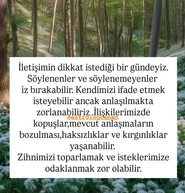 Screenshot_20250624-112925_Instagram.webp