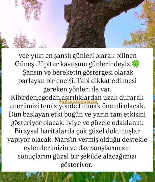 Screenshot_20250624-112931_Instagram.webp