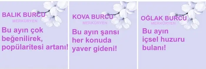 Screenshot_20250703-122742_Instagram - Kopya.webp