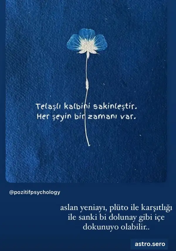 Screenshot_20250723-153940_Instagram.webp