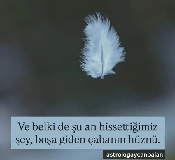 Screenshot_20250728-195758_Instagram.webp