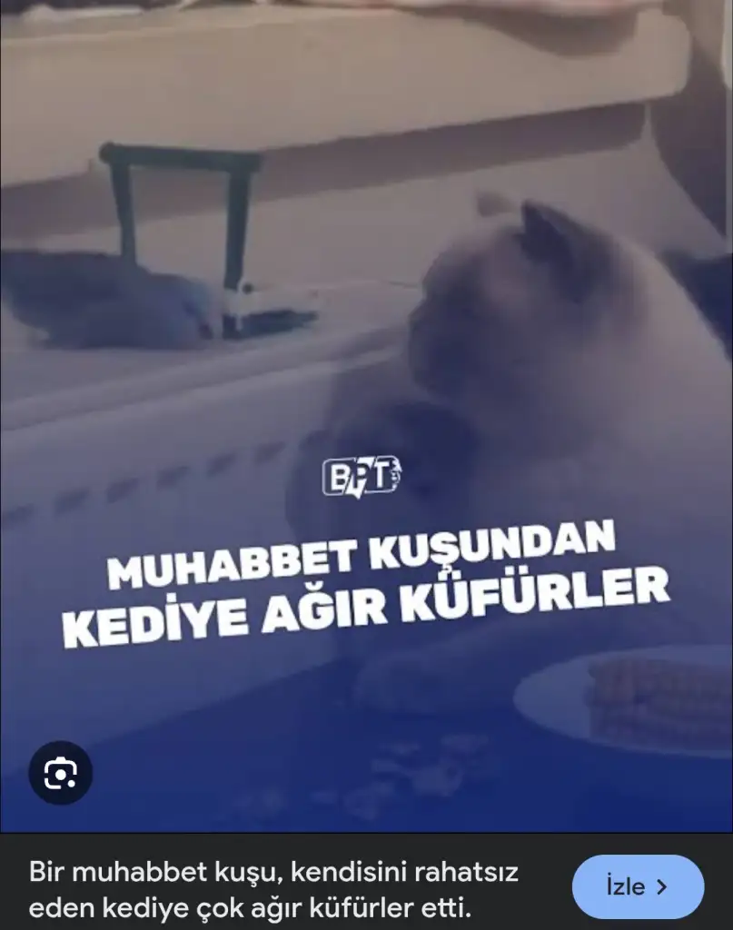 Screenshot_20250731_012246_Chrome.webp
