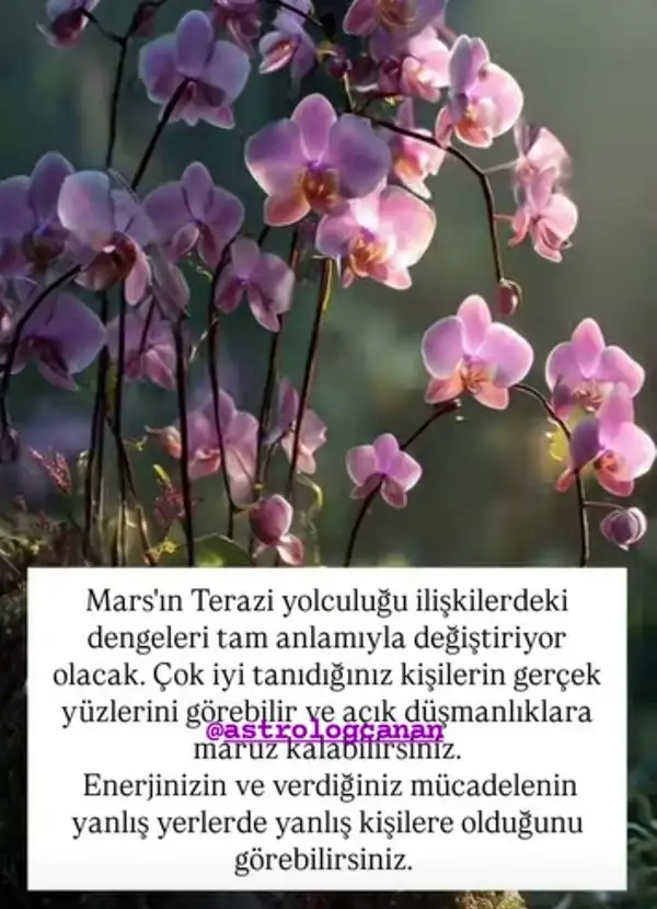 Screenshot_20250808-110446_Instagram.webp