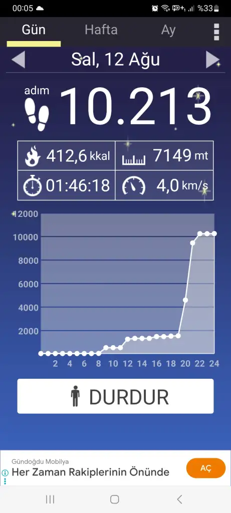 Screenshot_20250813_000509_Pedometer.webp